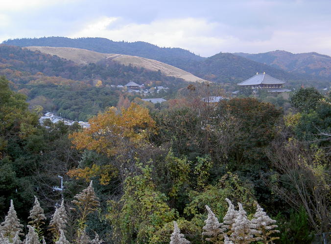 Collines autour de Nara