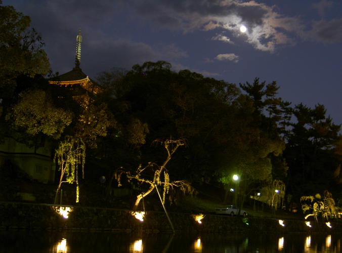 Nara la nuit